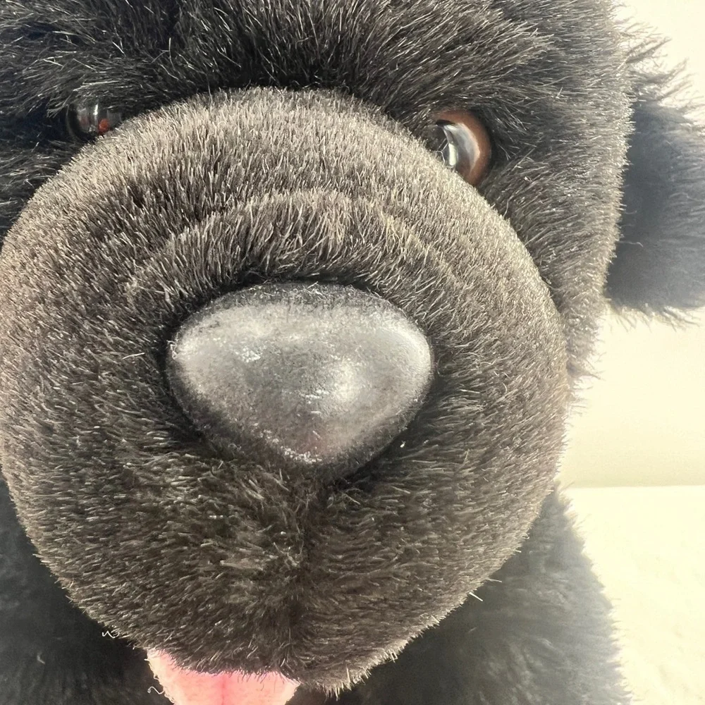 Build-A-Bear measures 18